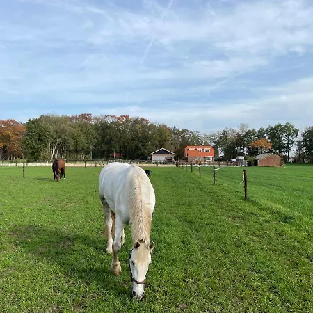 Hoeve Happiness - Ontbijt Inbegrepen - Wellness Aanwezig 福尔特赫伊曾