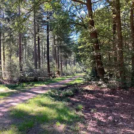 Bed & Breakfast Hoeve Happiness - Ontbijt Inbegrepen - Wellness Aanwezig 4*