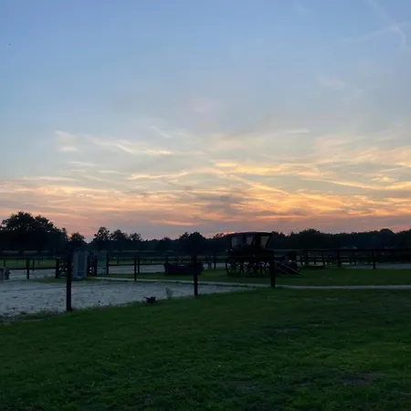 Hoeve Happiness - Ontbijt Inbegrepen - Wellness Aanwezig Voorthuizen