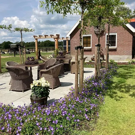 Hoeve Happiness - Ontbijt Inbegrepen - Wellness Aanwezig