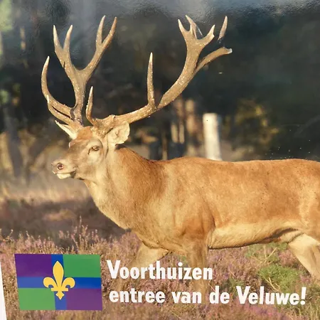 Hoeve Happiness - Ontbijt Inbegrepen - Wellness Aanwezig Bed & Breakfast 4*