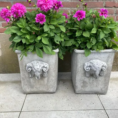 Bed & Breakfast Hoeve Happiness - Ontbijt Inbegrepen - Wellness Aanwezig 4*