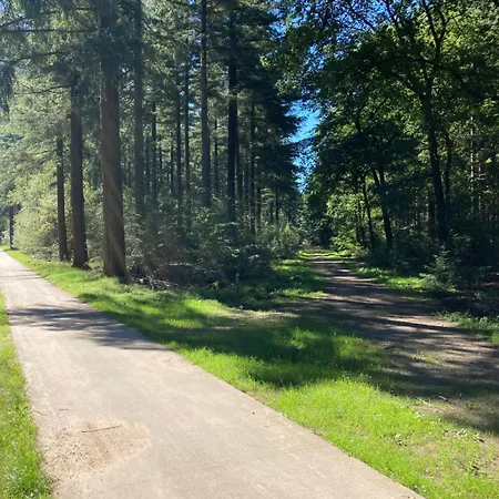 Hoeve Happiness - Ontbijt Inbegrepen - Wellness Aanwezig Frühstückspension Voorthuizen