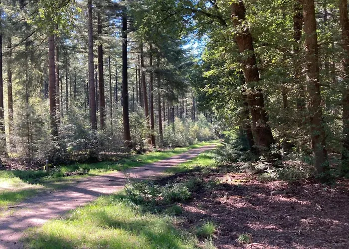 Bed & Breakfast Hoeve Happiness - Ontbijt Inbegrepen - Wellness Aanwezig 4*