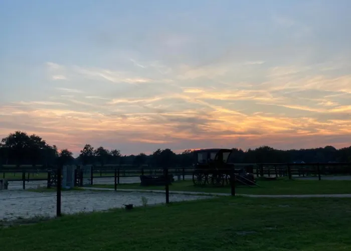 Hoeve Happiness - Ontbijt Inbegrepen - Wellness Aanwezig Voorthuizen