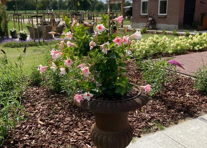 Bed & Breakfast Hoeve Happiness - Ontbijt Inbegrepen - Wellness Aanwezig