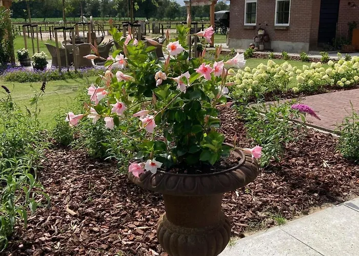 Hoeve Happiness - Ontbijt Inbegrepen - Wellness Aanwezig 4*