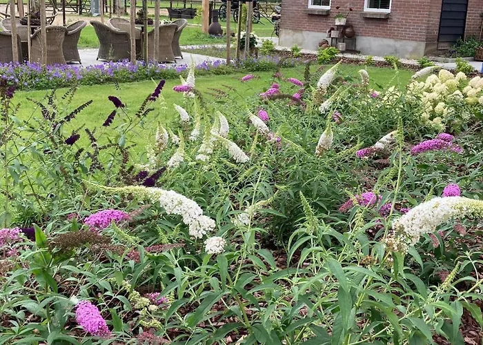 Bed & Breakfast Hoeve Happiness - Ontbijt Inbegrepen - Wellness Aanwezig 4*