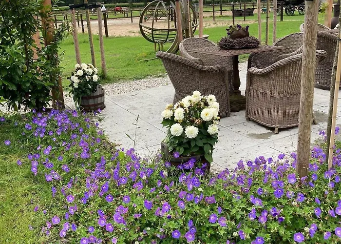 Bed & Breakfast Hoeve Happiness - Ontbijt Inbegrepen - Wellness Aanwezig Voorthuizen