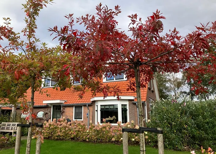 Couette-café Hoeve Happiness - Ontbijt Inbegrepen - Wellness Aanwezig 4*