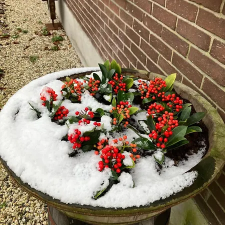 Hoeve Happiness - Ontbijt Inbegrepen - Wellness Aanwezig Bed and breakfast Voorthuizen