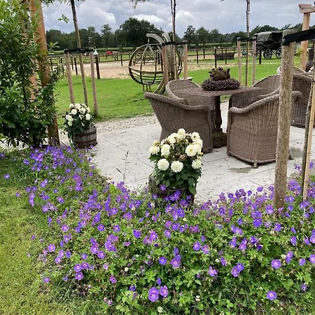 Bed and breakfast Hoeve Happiness - Ontbijt Inbegrepen - Wellness Aanwezig Voorthuizen