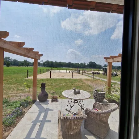 Bed and breakfast Hoeve Happiness - Ontbijt Inbegrepen - Wellness Aanwezig