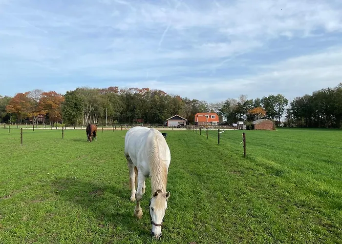 Hoeve Happiness - Ontbijt Inbegrepen - Wellness Aanwezig Voorthuizen