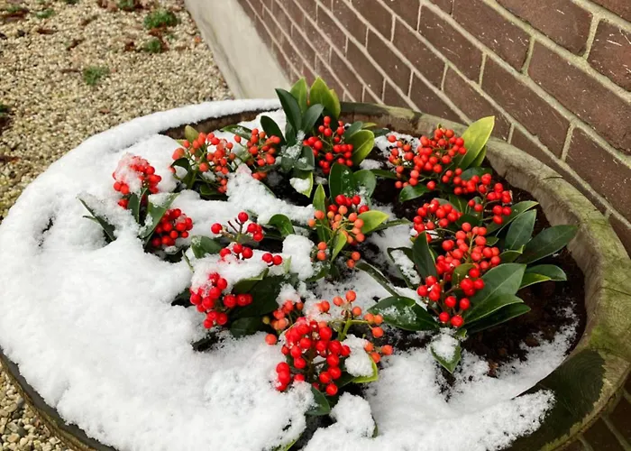 Hoeve Happiness - Ontbijt Inbegrepen - Wellness Aanwezig Alojamento de Acomodação e Pequeno-almoço Voorthuizen